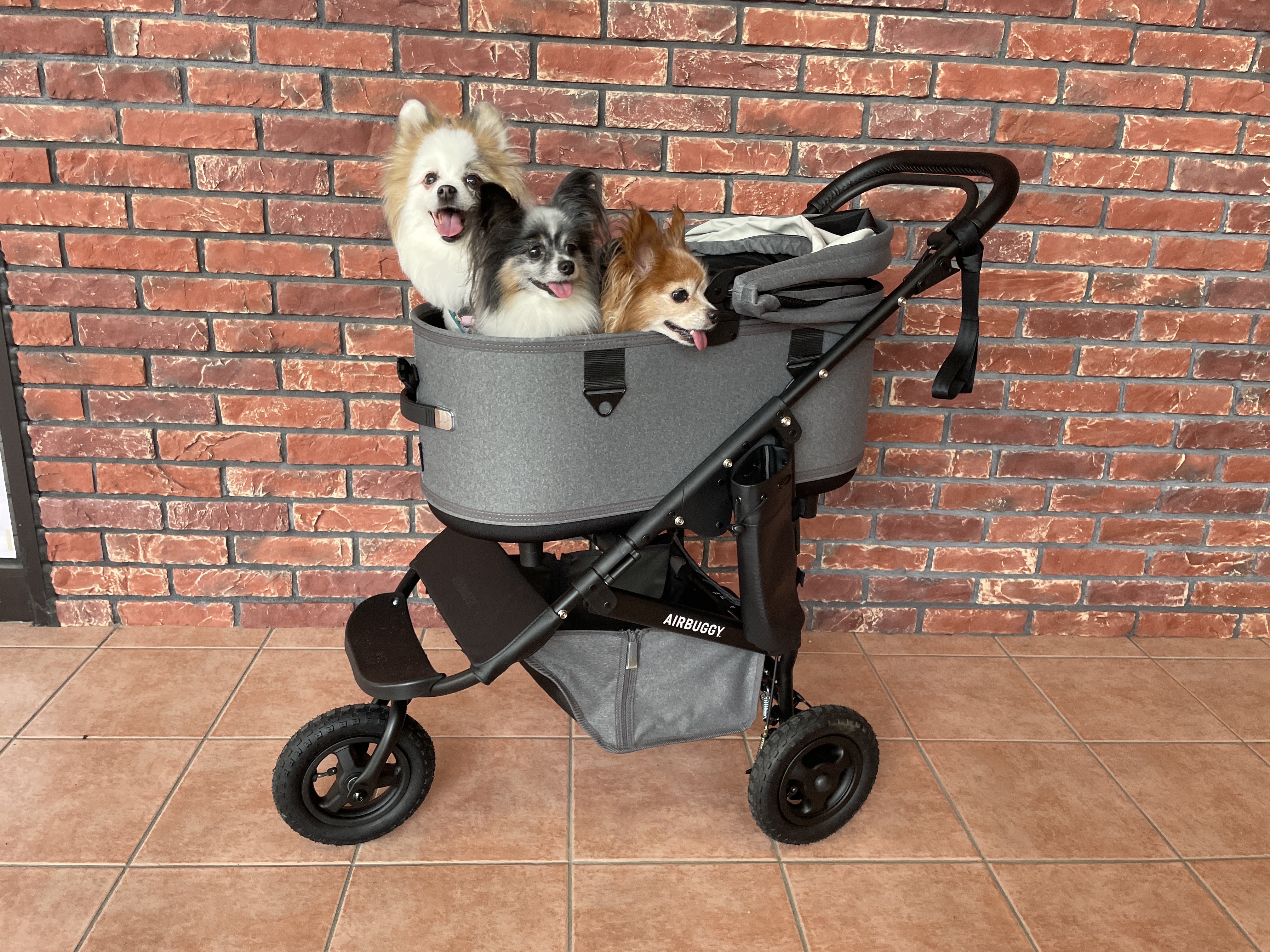 お届けイメージ