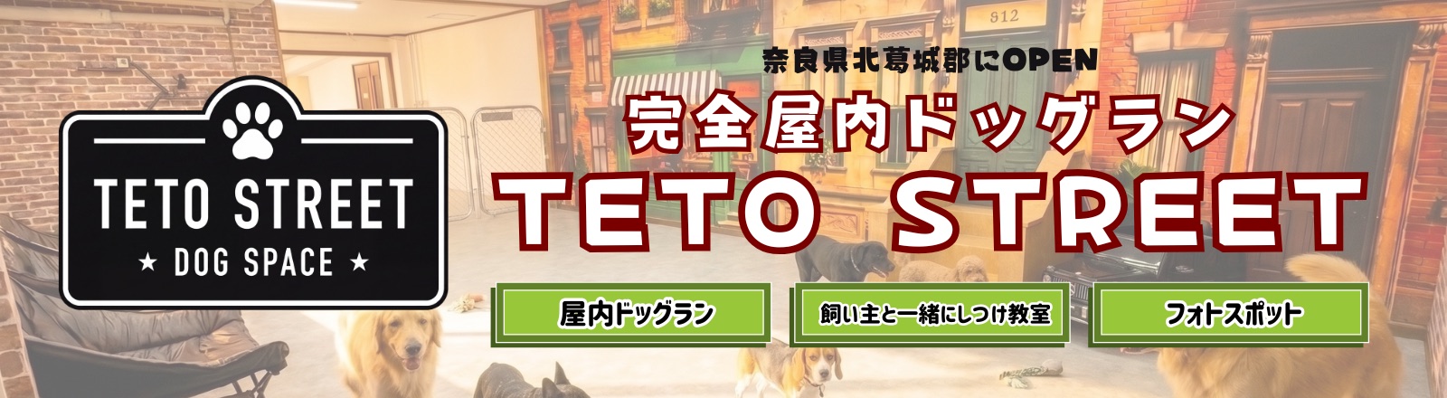 奈良県北葛城郡の完全屋内ドッグラン TETO STREET